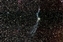 ngc6960-veil_46deg_ed80f075_20d_480seciso1600__bdf_sigmed_ip-lvl-stars-lvl_ps-astrotools.jpg